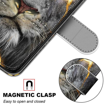 For Huawei P50 Coloured Drawing Cross Texture Horizontal Flip PU Leather Case with Holder & Card Slots & Wallet & Lanyard(Fission Lion) - Huawei Cases by buy2fix | Online Shopping UK | buy2fix