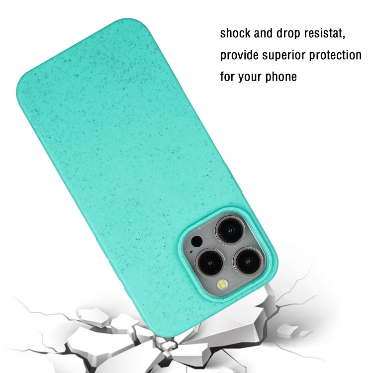 For iPhone 13 Pro Max Wheat MagSafe Magnetic Straw Material + TPU Phone Case(Green) - iPhone 13 Pro Max Cases by buy2fix | Online Shopping UK | buy2fix