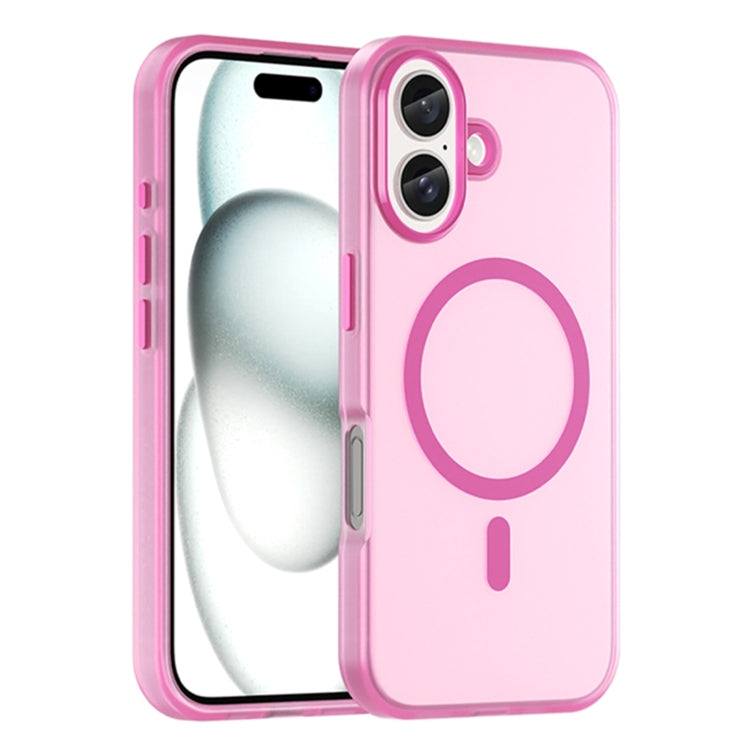 For iPhone 16 Plus MagSafe Frosted Translucent TPU + PC Full Coverage Phone Case(Pink) - iPhone 16 Plus Cases by buy2fix | Online Shopping UK | buy2fix