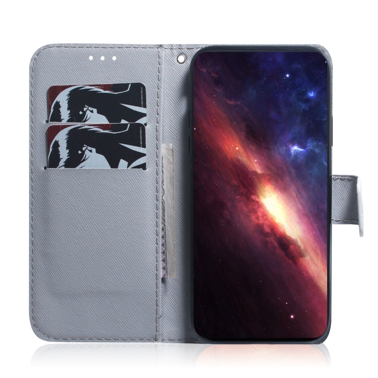 For Xiaomi Redmi K70 Pro / K70 Coloured Drawing Flip Leather Phone Case(Lion) - K70 Cases by buy2fix | Online Shopping UK | buy2fix