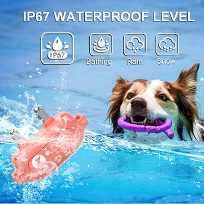 PaiPaitek PD523 1000m Remote Control Rechargeable Waterproof Dog Trainer - Training Aids by PaiPaitek | Online Shopping UK | buy2fix