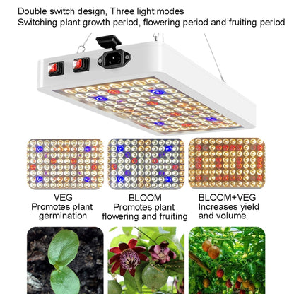 Small Plant Growth Light LED Full Spectrum Fill Light(AU Plug) - LED Grow Lights by buy2fix | Online Shopping UK | buy2fix