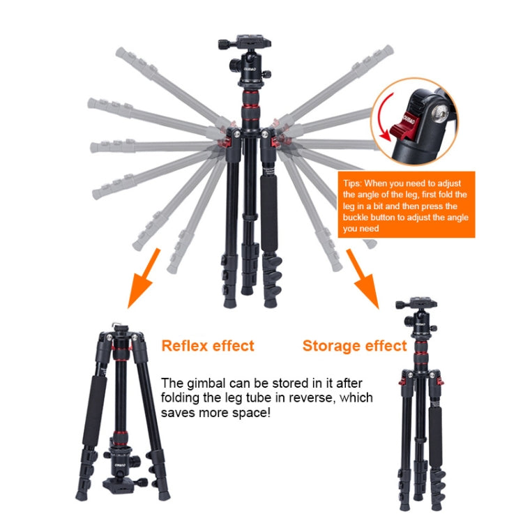 TRIOPO K2508S+B1S Adjustable Portable  Aluminum Alloy Tripod with Ball Head for SLR Camera(Black) - Tripods by TRIOPO | Online Shopping UK | buy2fix