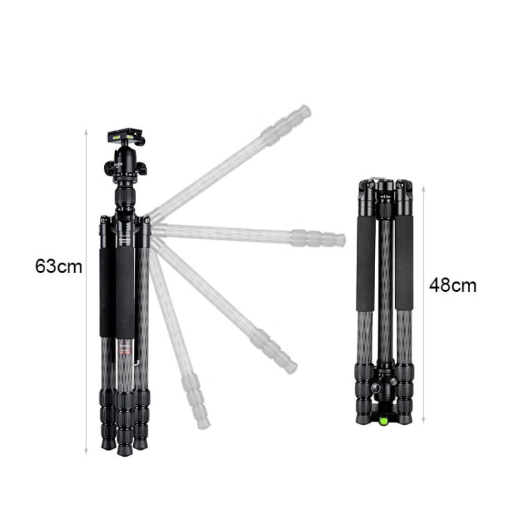 BEXIN W284C H36 Carbon Fiber Professional Photo Tripod for DSLR Camera - Tripods by BEXIN | Online Shopping UK | buy2fix