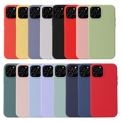 For iPhone 12 / 12 Pro Solid Color Liquid Silicone Shockproof Protective Case(Black) - iPhone 12 / 12 Pro Cases by buy2fix | Online Shopping UK | buy2fix