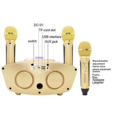 SD-306 2 in 1 Family KTV Portable Wireless Live Dual Microphone + Bluetooth Speaker(Black) - Consumer Electronics by buy2fix | Online Shopping UK | buy2fix