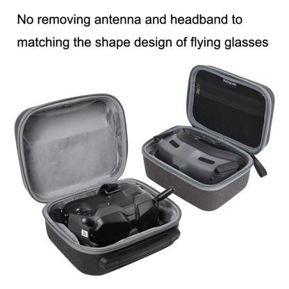 For FPV Flying Glasses V2 Bag Sunnylife Handheld Storage Bag - Case & Bags by Sunnylife | Online Shopping UK | buy2fix